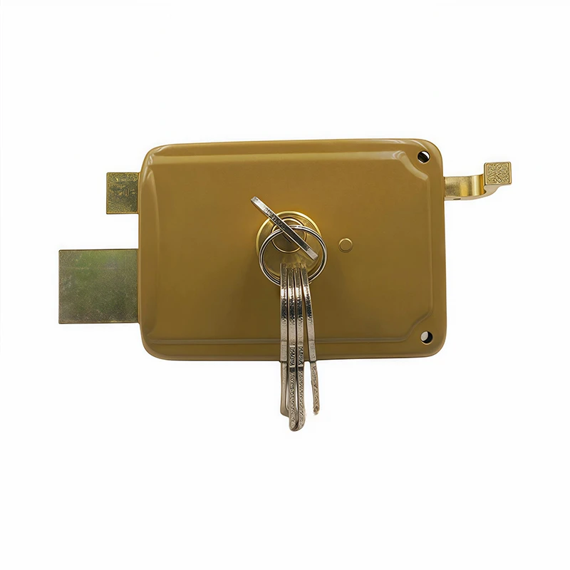 Shed Door Locks